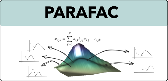 PARAFAC on DOM